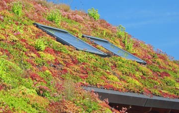 Tregaron living roof systems